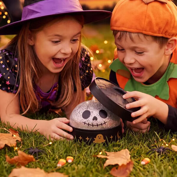 🎃👻Halloween Dumpling Stress Relief Toys with Steamer Storage Boxes