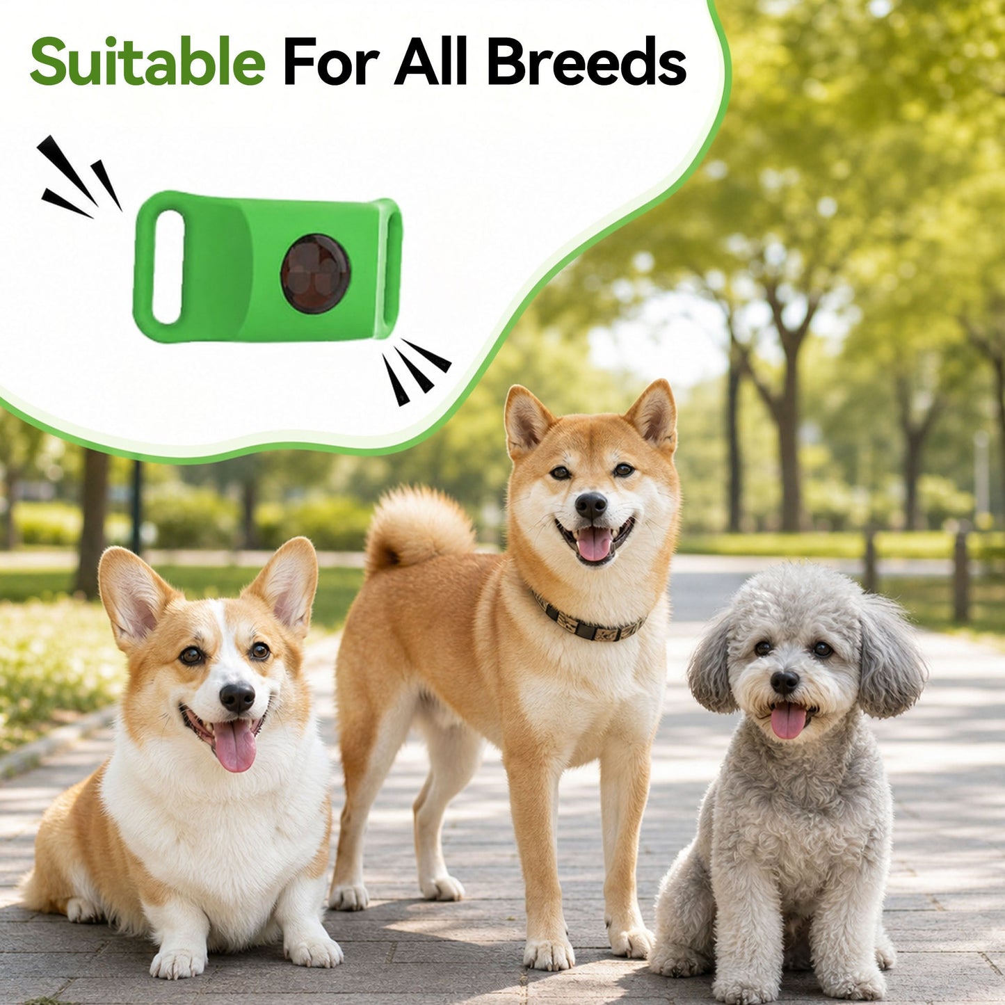 tkhotpick™ 12 Months Flea and Tick Free