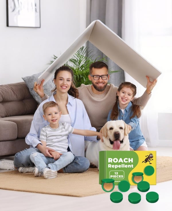 43da96f07354afc91ea28e385fc66056a384f26b.jpg