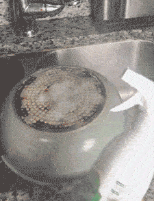 5c4a4d93606e3bebc299c52fb4a2f273ceeed494.gif