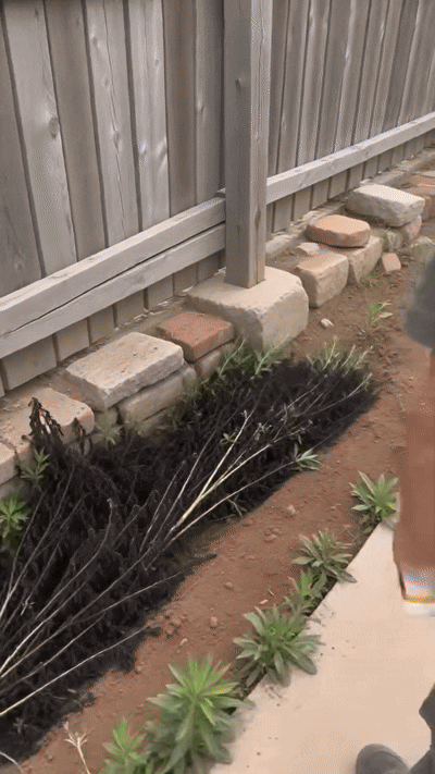 How to use weed killer spray