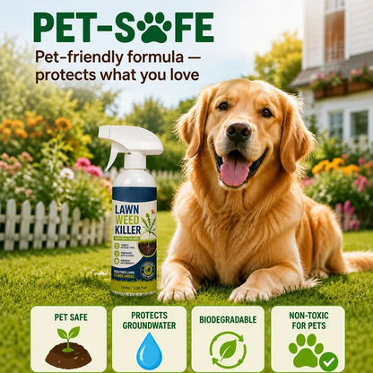Easy and stress-free weeding in the garden] Herbicide for domestic use