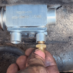 pt-80166dbfa9c2-d2e7d49175d67f89196a2760028973bcec0bceb1.gif